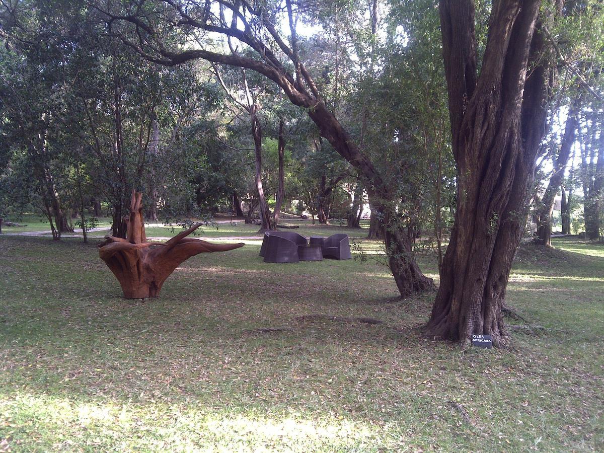 Mara River Camp Aitong Exterior foto