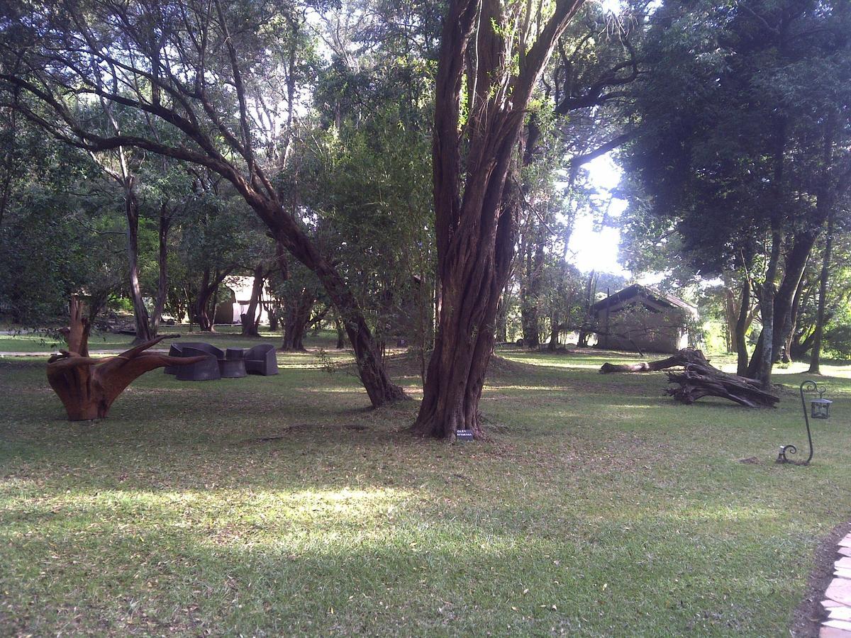 Mara River Camp Aitong Exterior foto